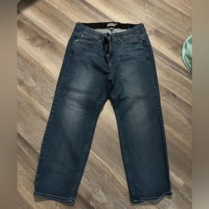 Size 24 torrid jeans